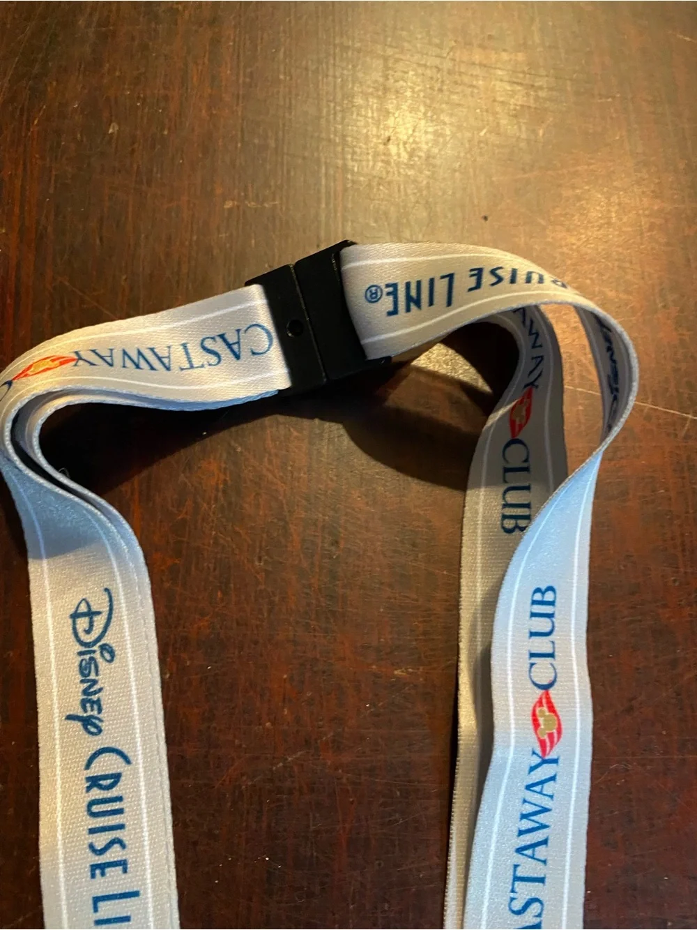 Set Of 2 DCL Disney Cruise Line Castaway Club Silver Lanyards DCL Exclusive